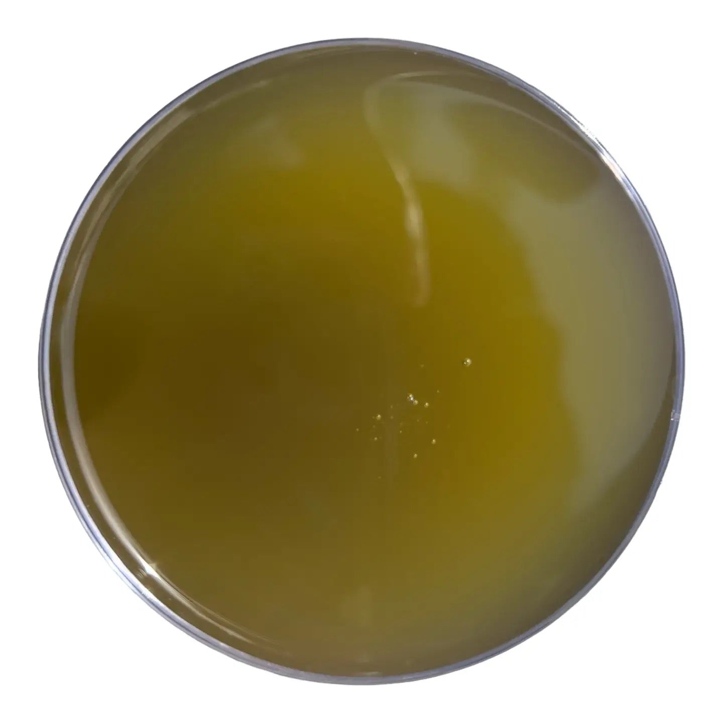 Chlorophyll & Seamoss Face Wash
